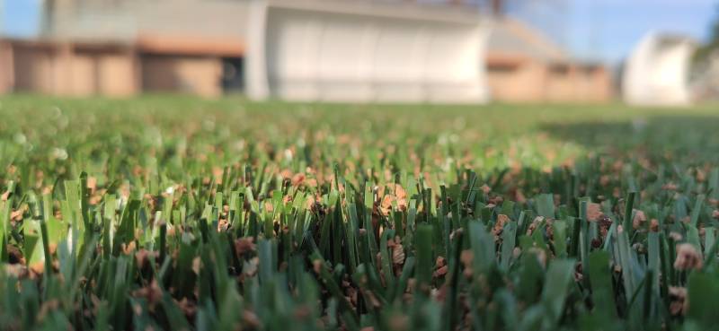 Pelouse synthétique pour terrain mixte foot et rugby